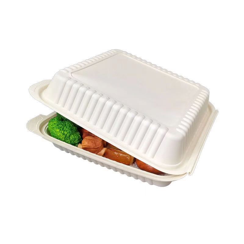 Eco compostable clamshell take away food containers disposable biodegradable sugarcane bagasse lunch box for kids