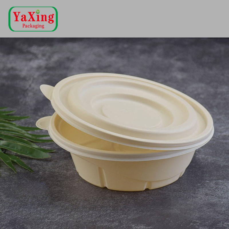 100% Food Grade Biodegradable Disposable Pla Salad Bowl